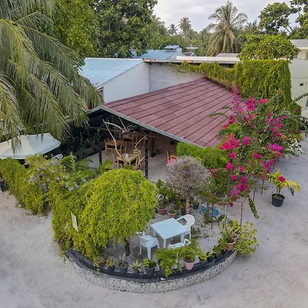 Turtle Maldives - Your Gateway To The Beach & Marine Adventures Await! Omadhoo Ngoại thất bức ảnh