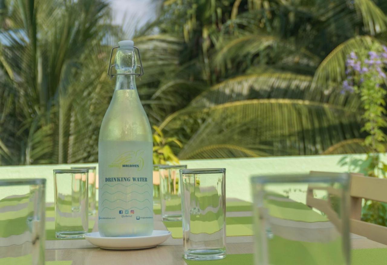 Turtle Maldives - Your Gateway To The Beach & Marine Adventures Await! Omadhoo Ngoại thất bức ảnh