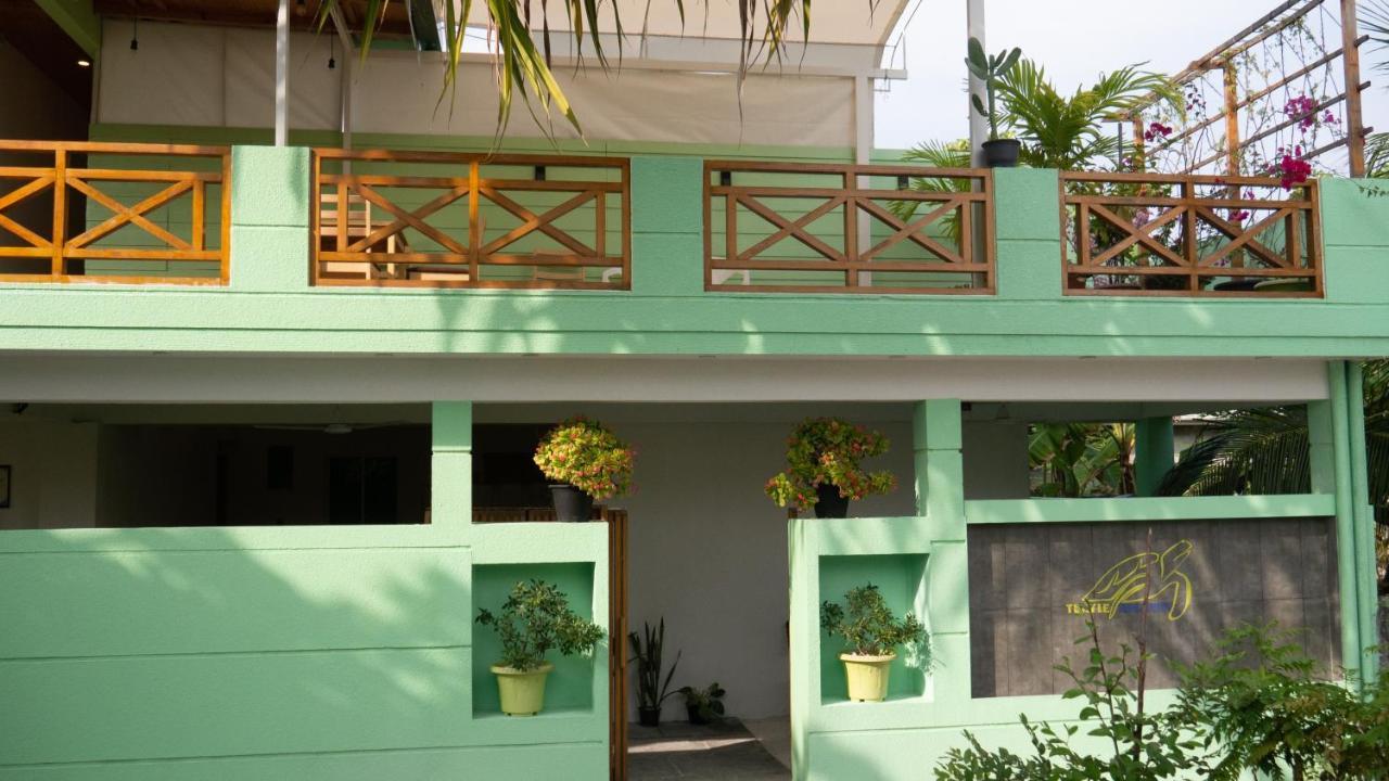 Turtle Maldives - Your Gateway To The Beach & Marine Adventures Await! Omadhoo Ngoại thất bức ảnh