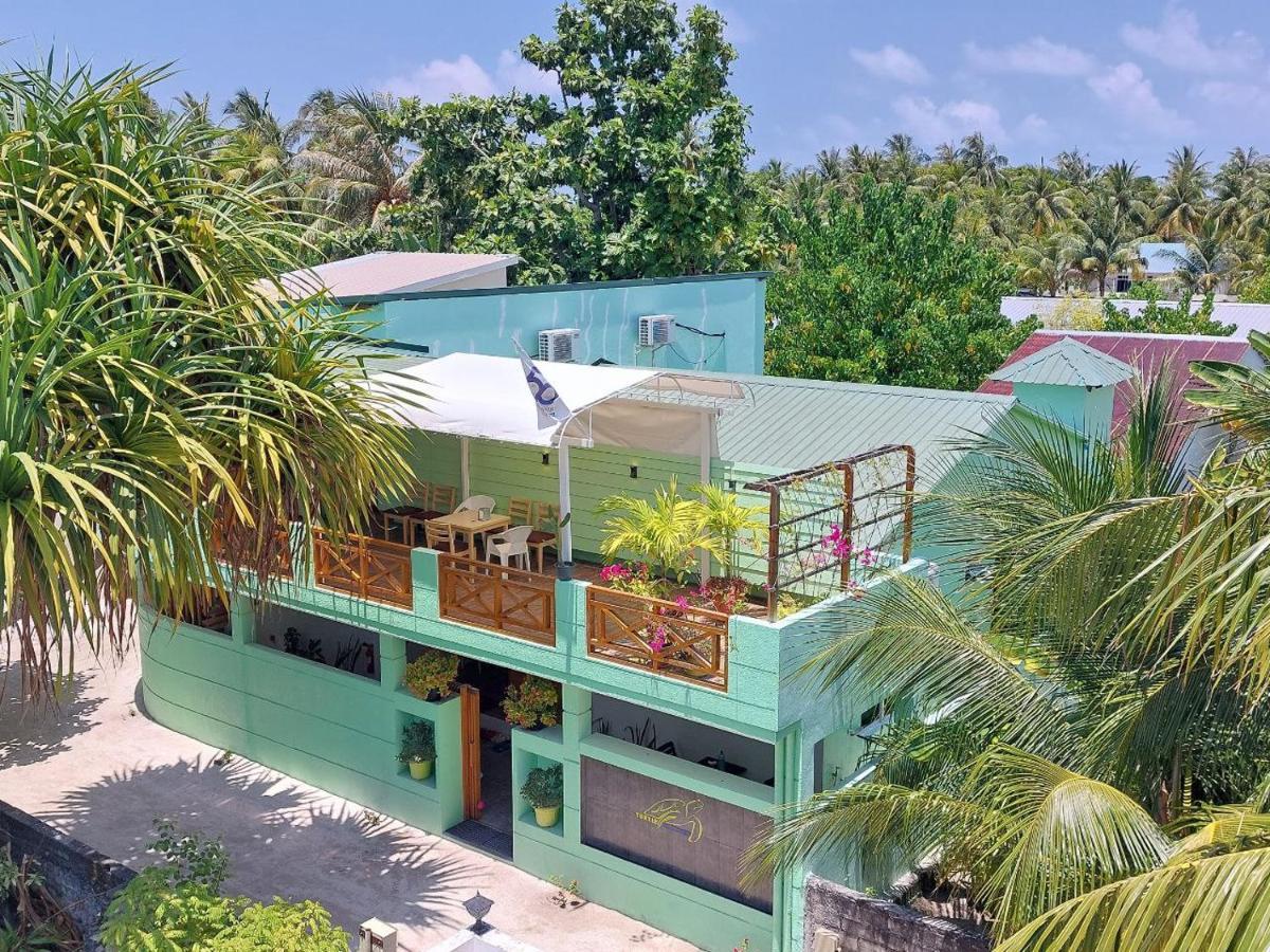 Turtle Maldives - Your Gateway To The Beach & Marine Adventures Await! Omadhoo Ngoại thất bức ảnh