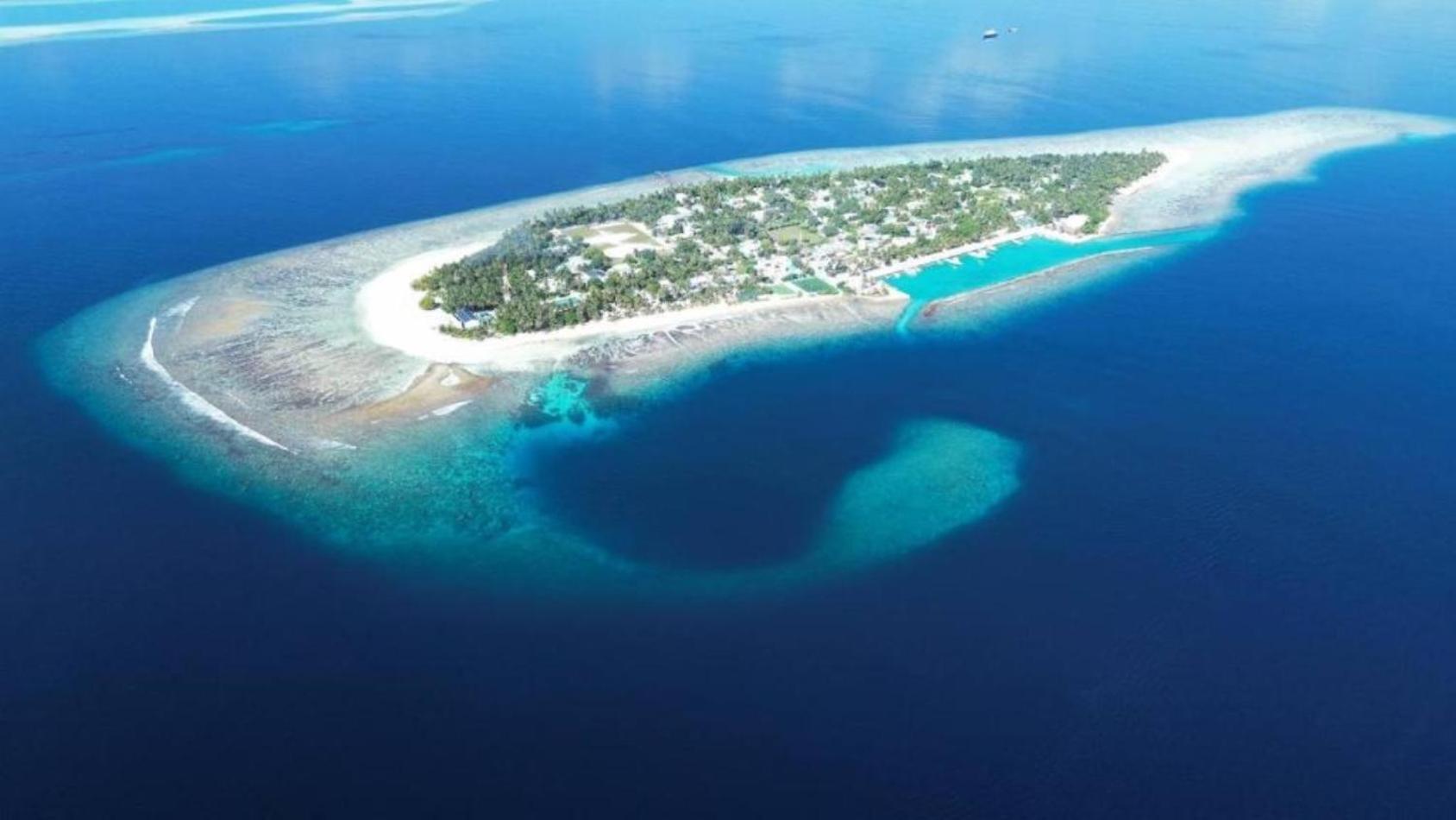 Turtle Maldives - Your Gateway To The Beach & Marine Adventures Await! Omadhoo Ngoại thất bức ảnh