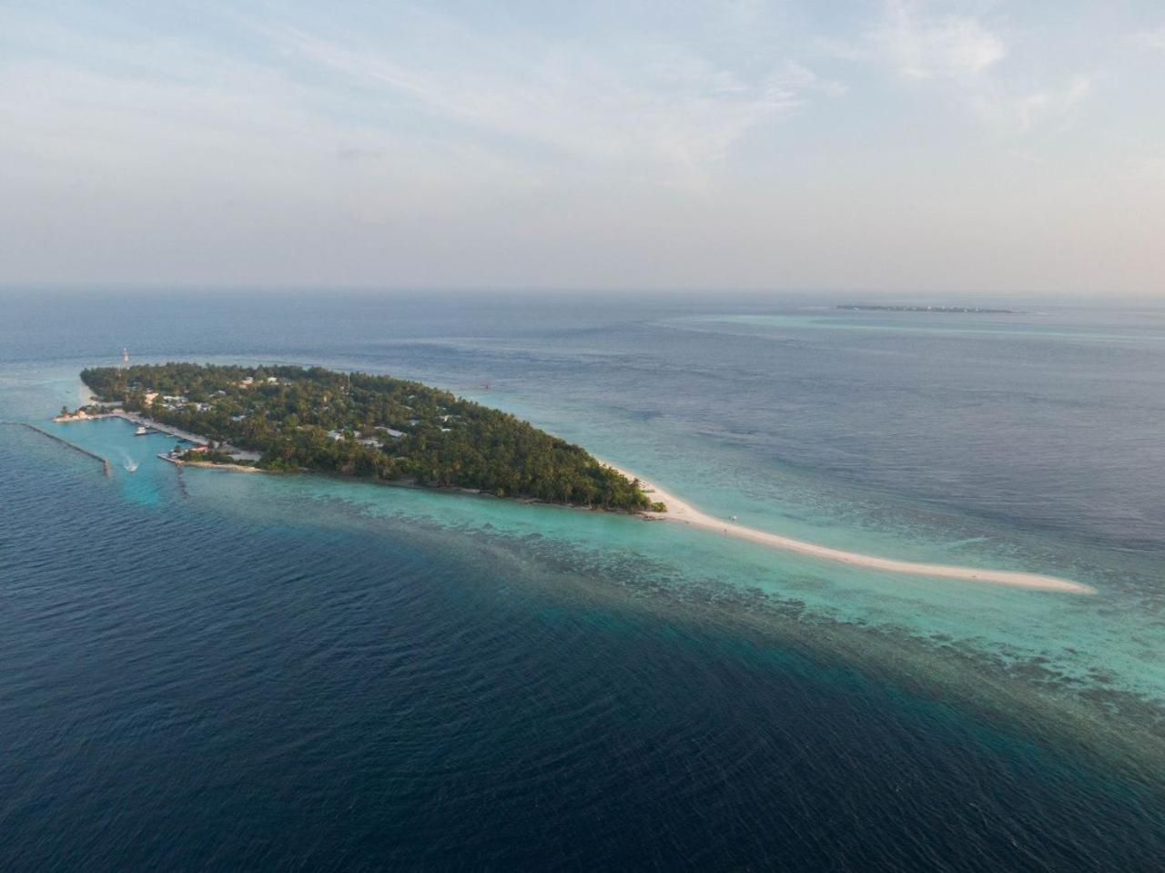 Turtle Maldives - Your Gateway To The Beach & Marine Adventures Await! Omadhoo Ngoại thất bức ảnh