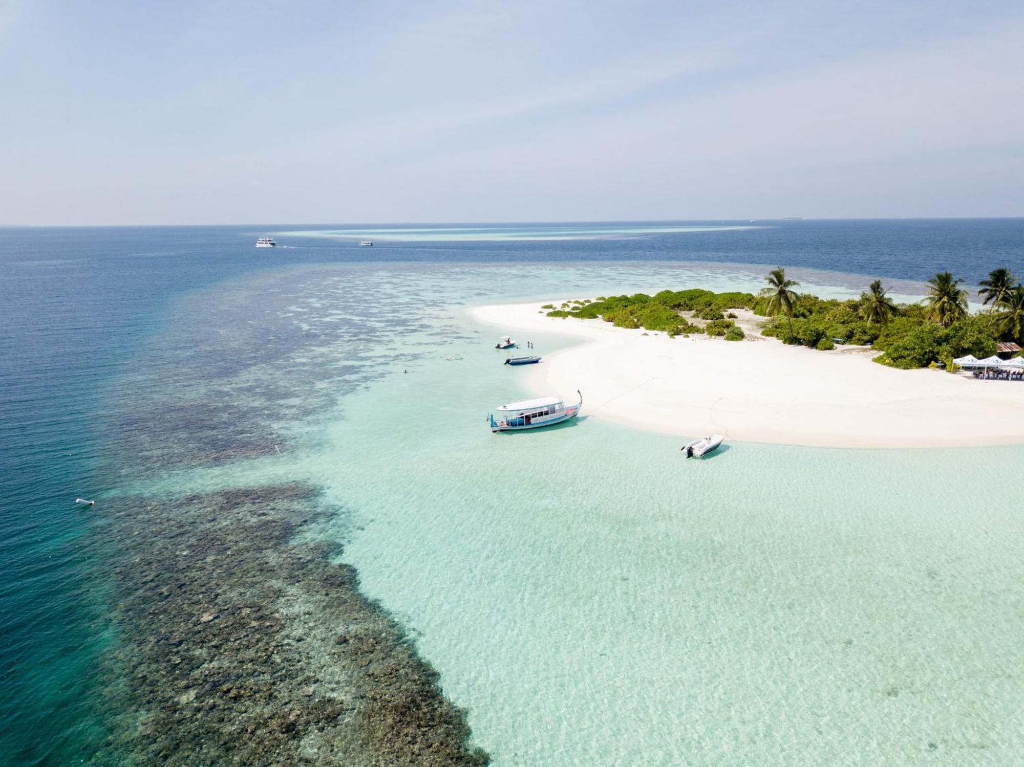 Turtle Maldives - Your Gateway To The Beach & Marine Adventures Await! Omadhoo Ngoại thất bức ảnh