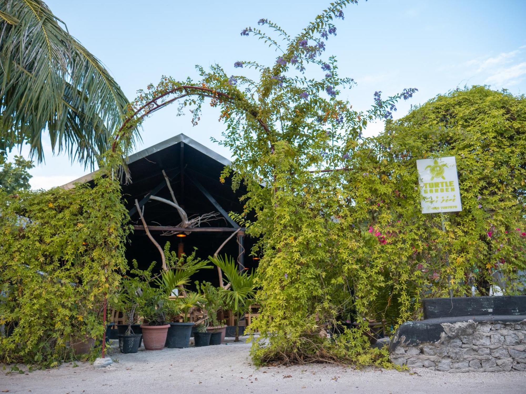 Turtle Maldives - Your Gateway To The Beach & Marine Adventures Await! Omadhoo Ngoại thất bức ảnh