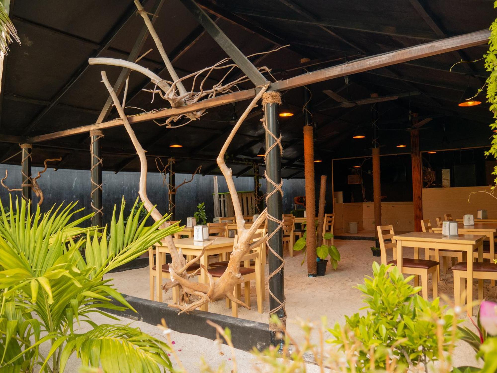 Turtle Maldives - Your Gateway To The Beach & Marine Adventures Await! Omadhoo Ngoại thất bức ảnh