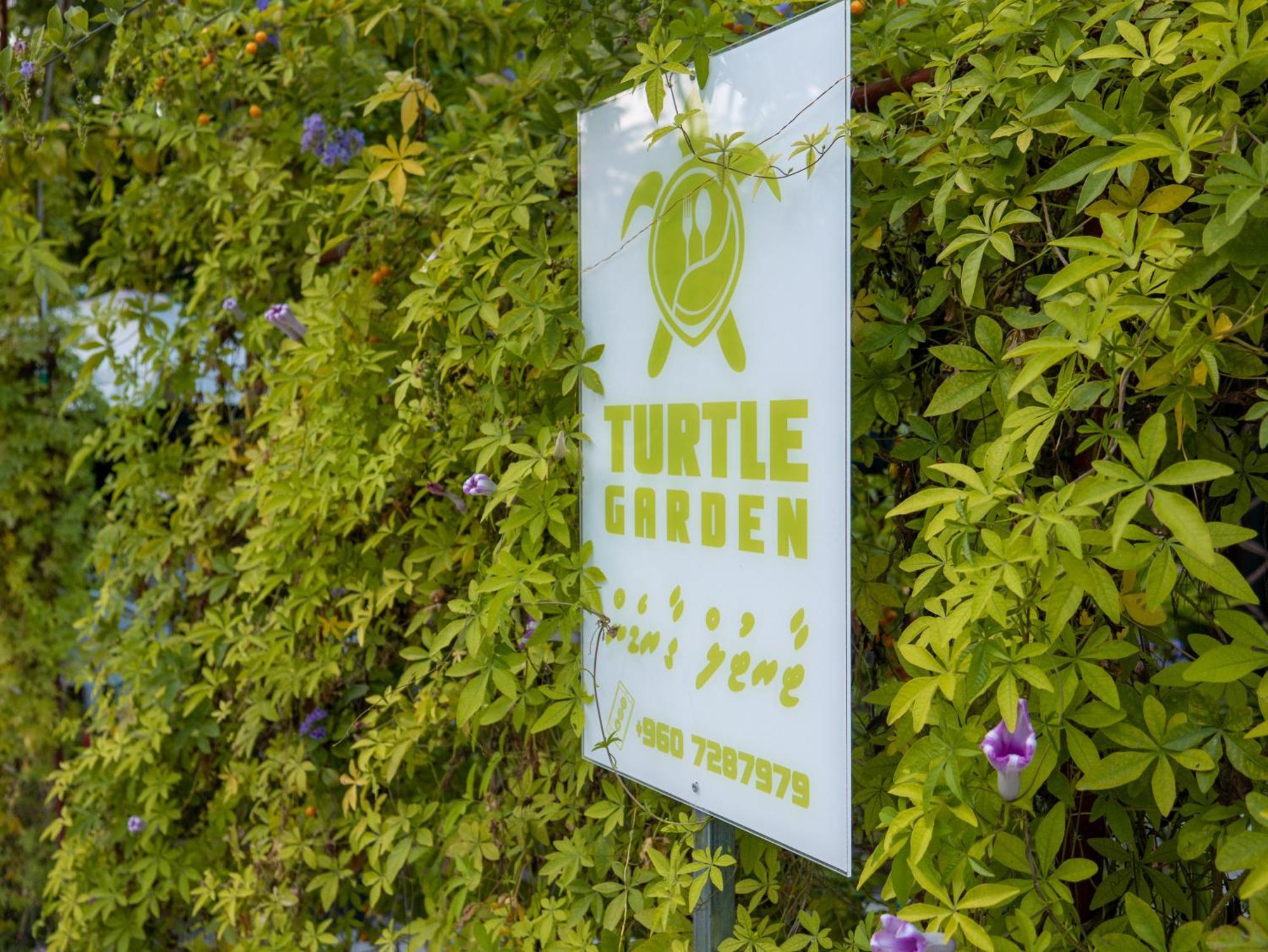 Turtle Maldives - Your Gateway To The Beach & Marine Adventures Await! Omadhoo Ngoại thất bức ảnh