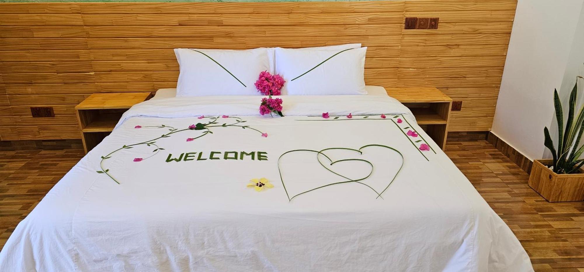 Turtle Maldives - Your Gateway To The Beach & Marine Adventures Await! Omadhoo Phòng bức ảnh