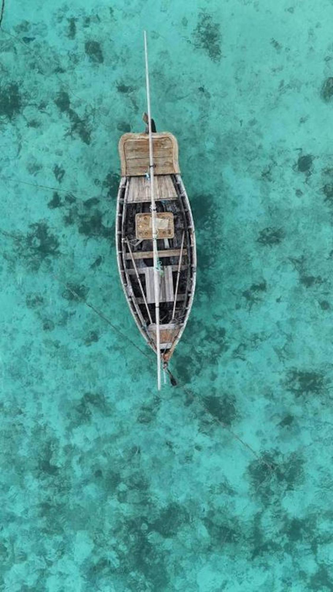 Turtle Maldives - Your Gateway To The Beach & Marine Adventures Await! Omadhoo Ngoại thất bức ảnh