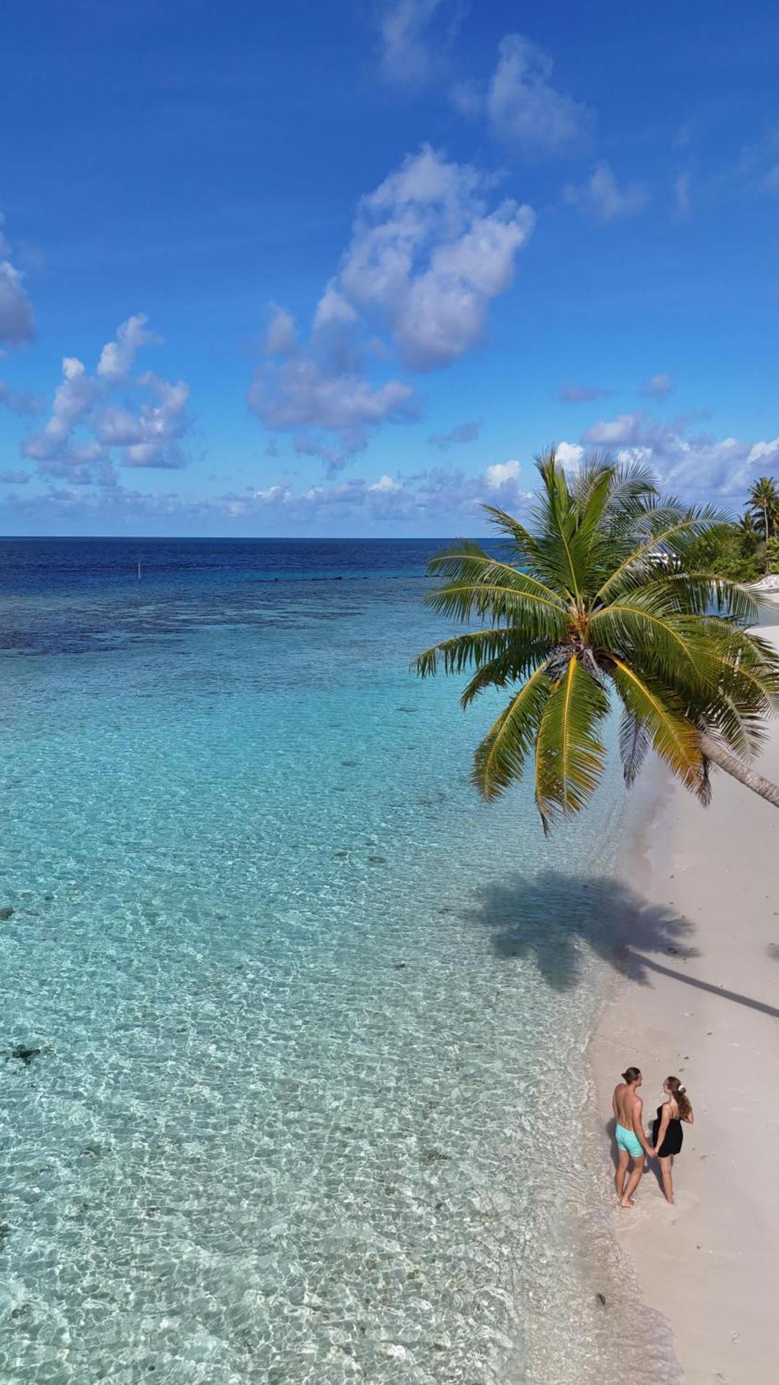 Turtle Maldives - Your Gateway To The Beach & Marine Adventures Await! Omadhoo Ngoại thất bức ảnh