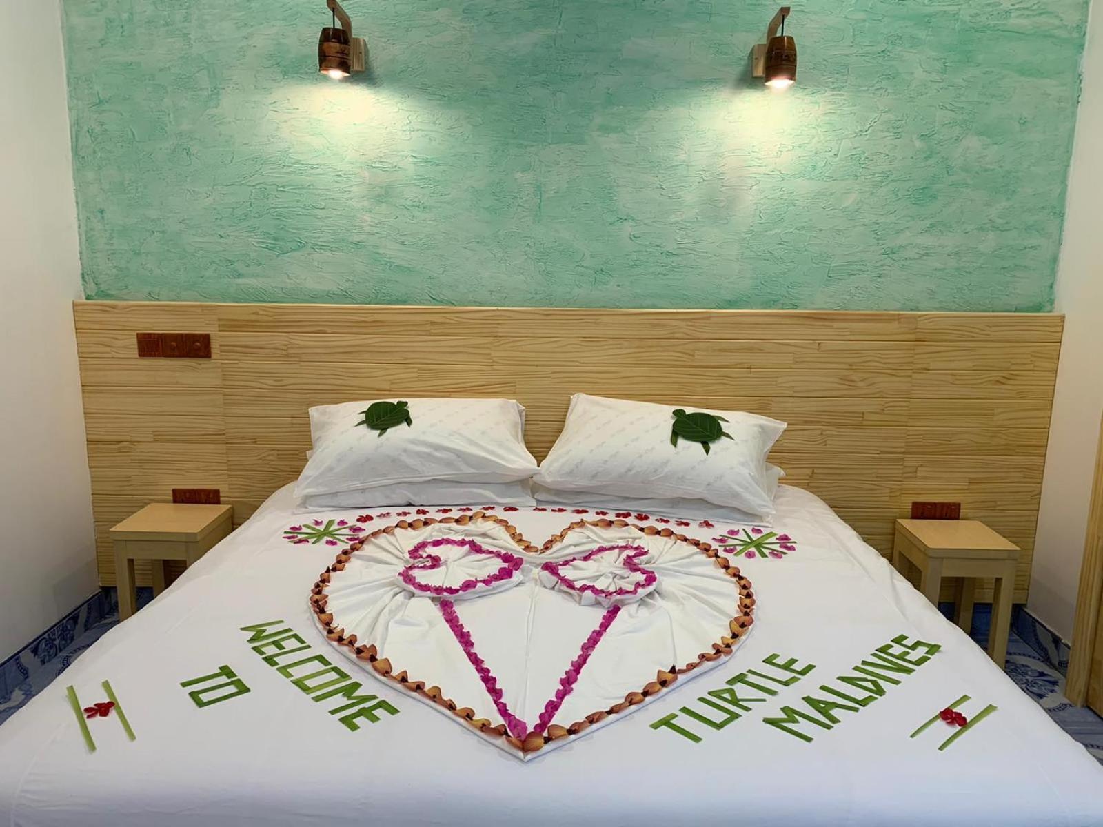 Turtle Maldives - Your Gateway To The Beach & Marine Adventures Await! Omadhoo Phòng bức ảnh