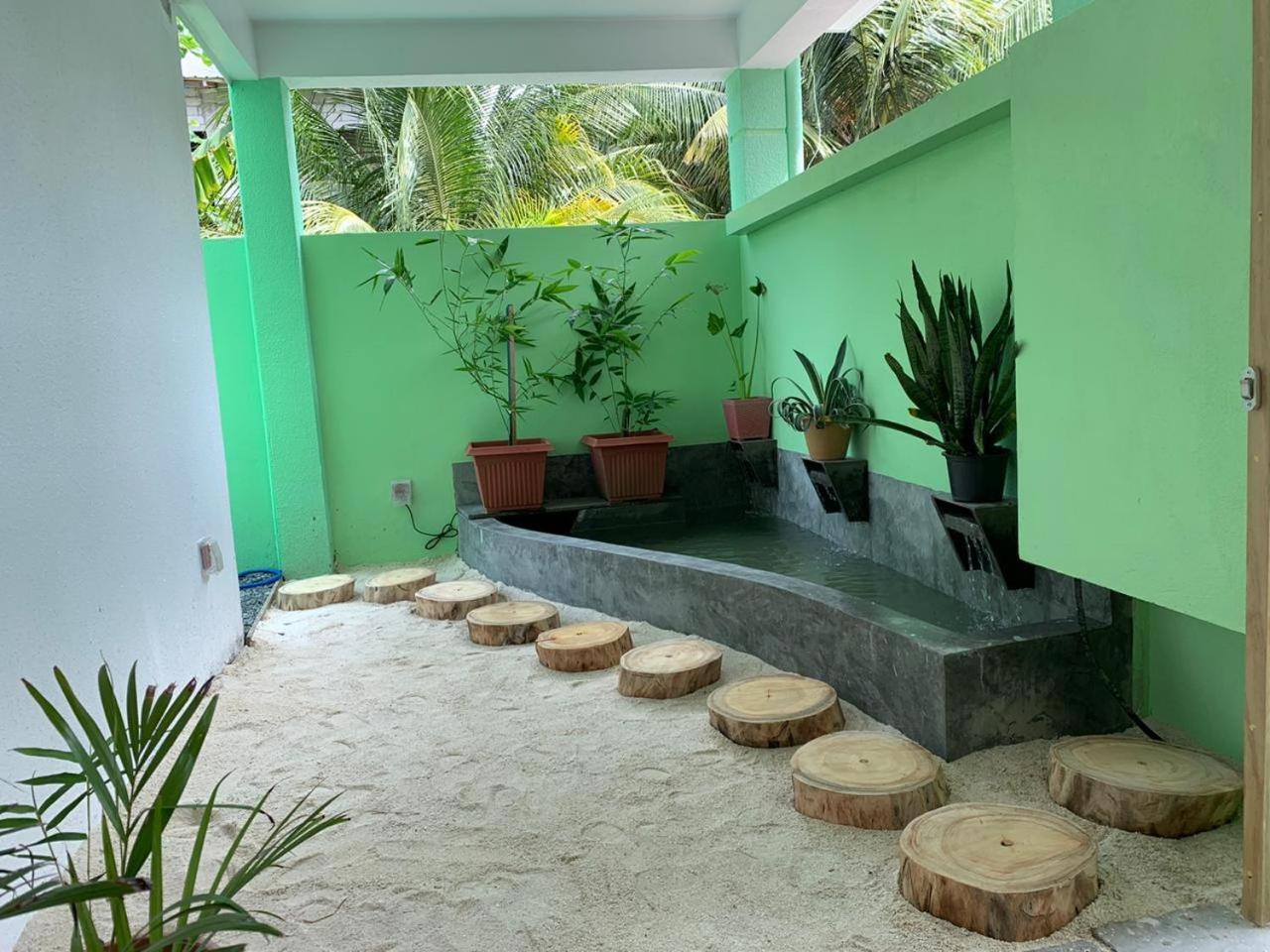 Turtle Maldives - Your Gateway To The Beach & Marine Adventures Await! Omadhoo Ngoại thất bức ảnh