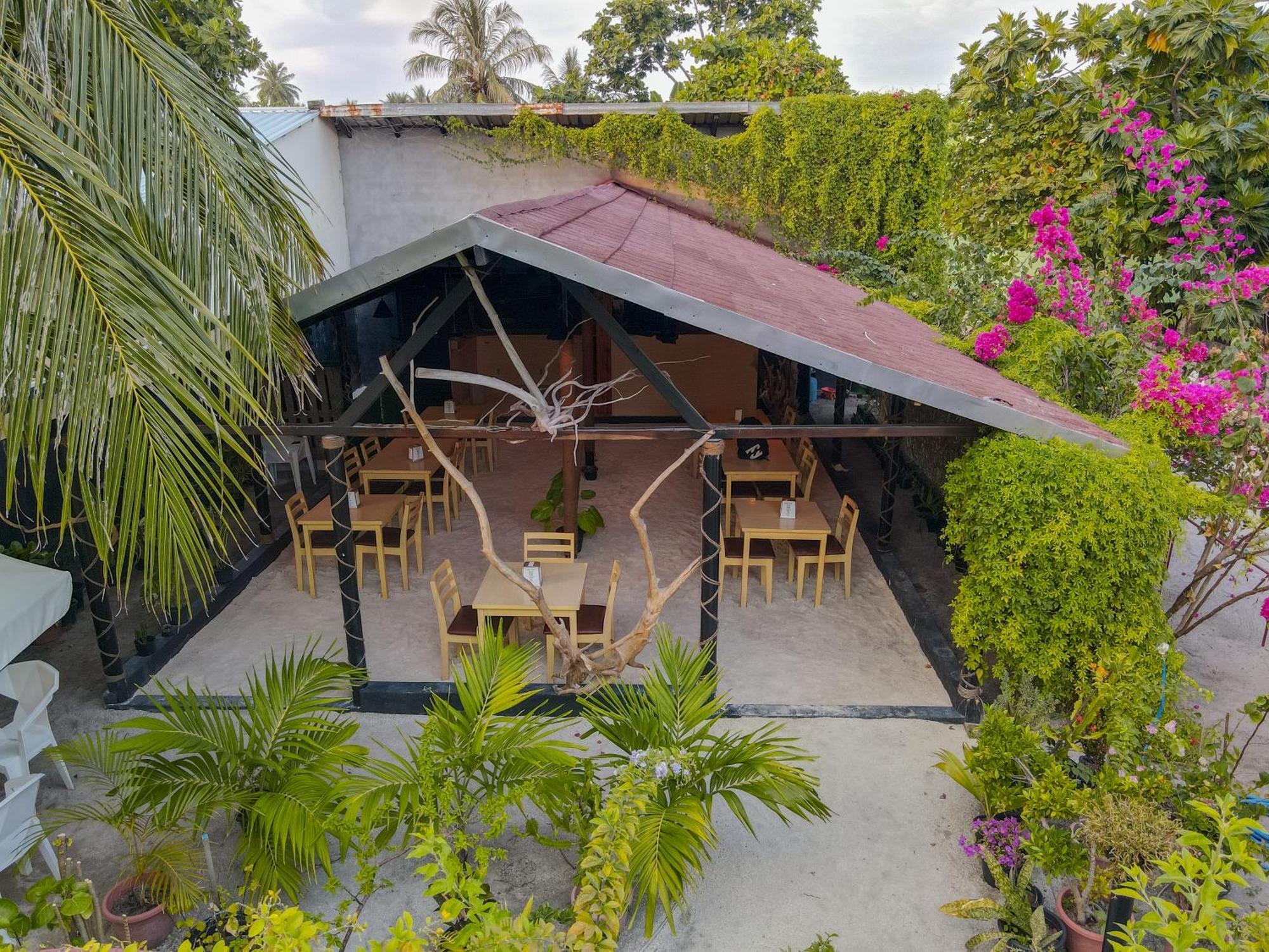 Turtle Maldives - Your Gateway To The Beach & Marine Adventures Await! Omadhoo Ngoại thất bức ảnh