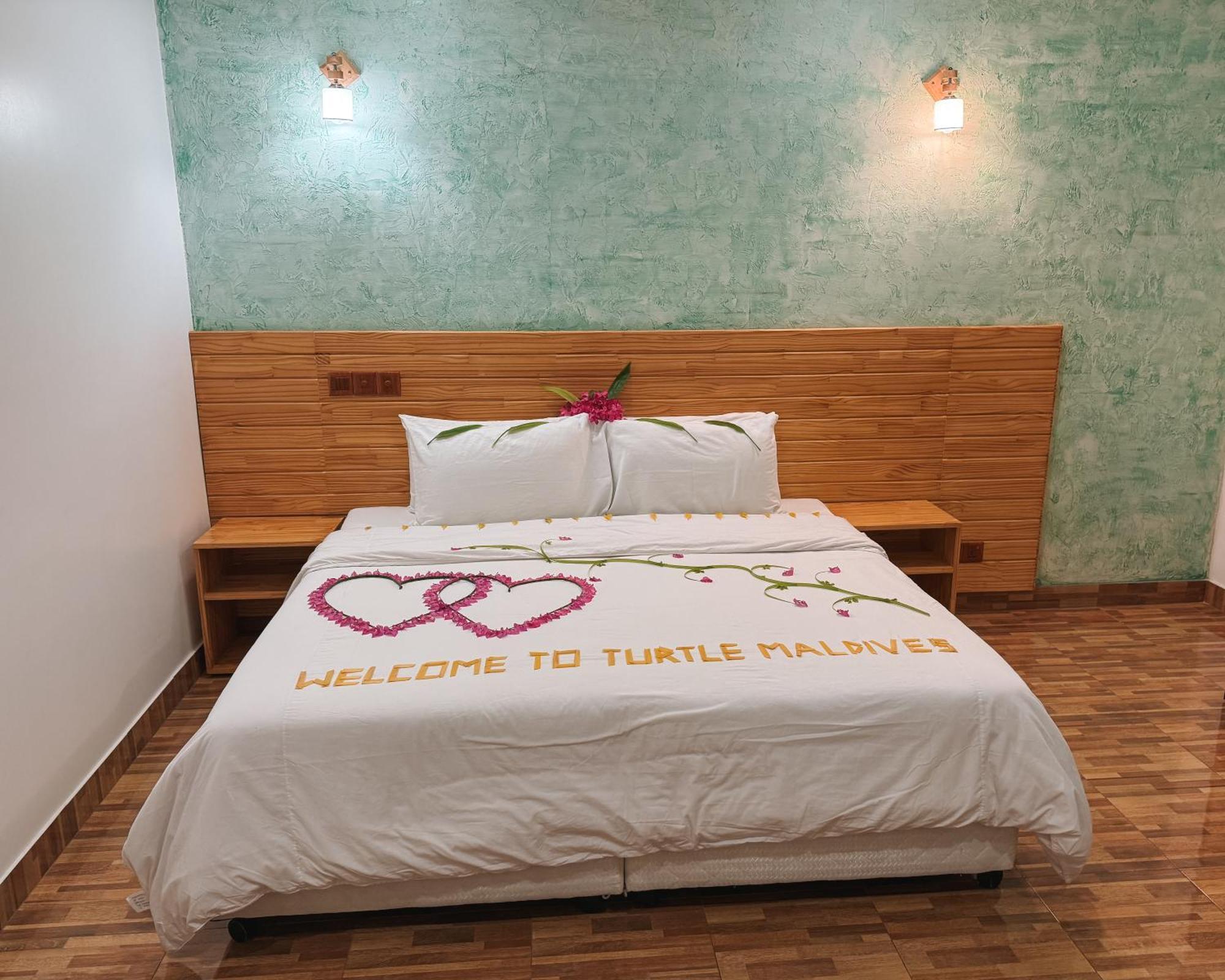 Turtle Maldives - Your Gateway To The Beach & Marine Adventures Await! Omadhoo Phòng bức ảnh
