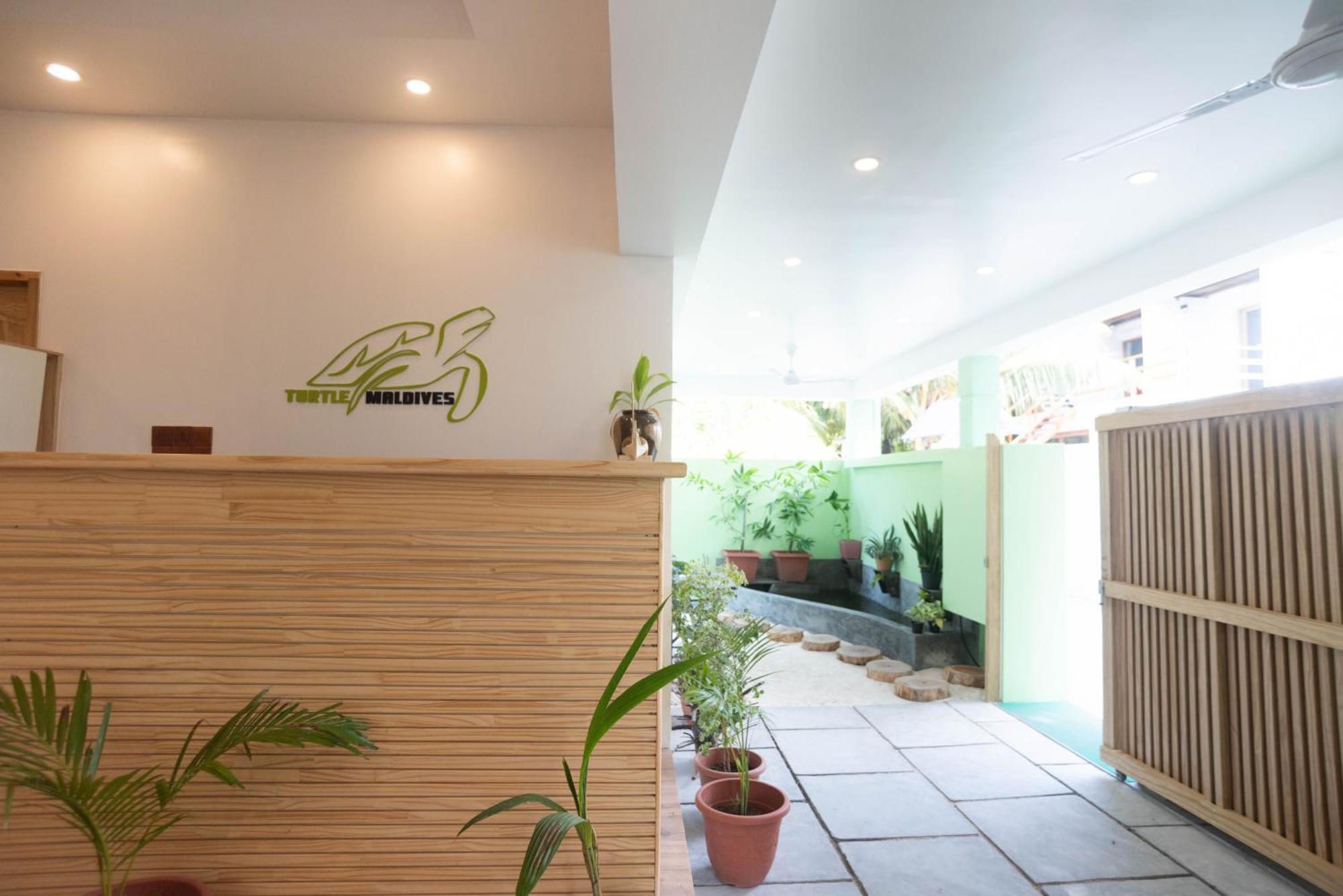 Turtle Maldives - Your Gateway To The Beach & Marine Adventures Await! Omadhoo Ngoại thất bức ảnh