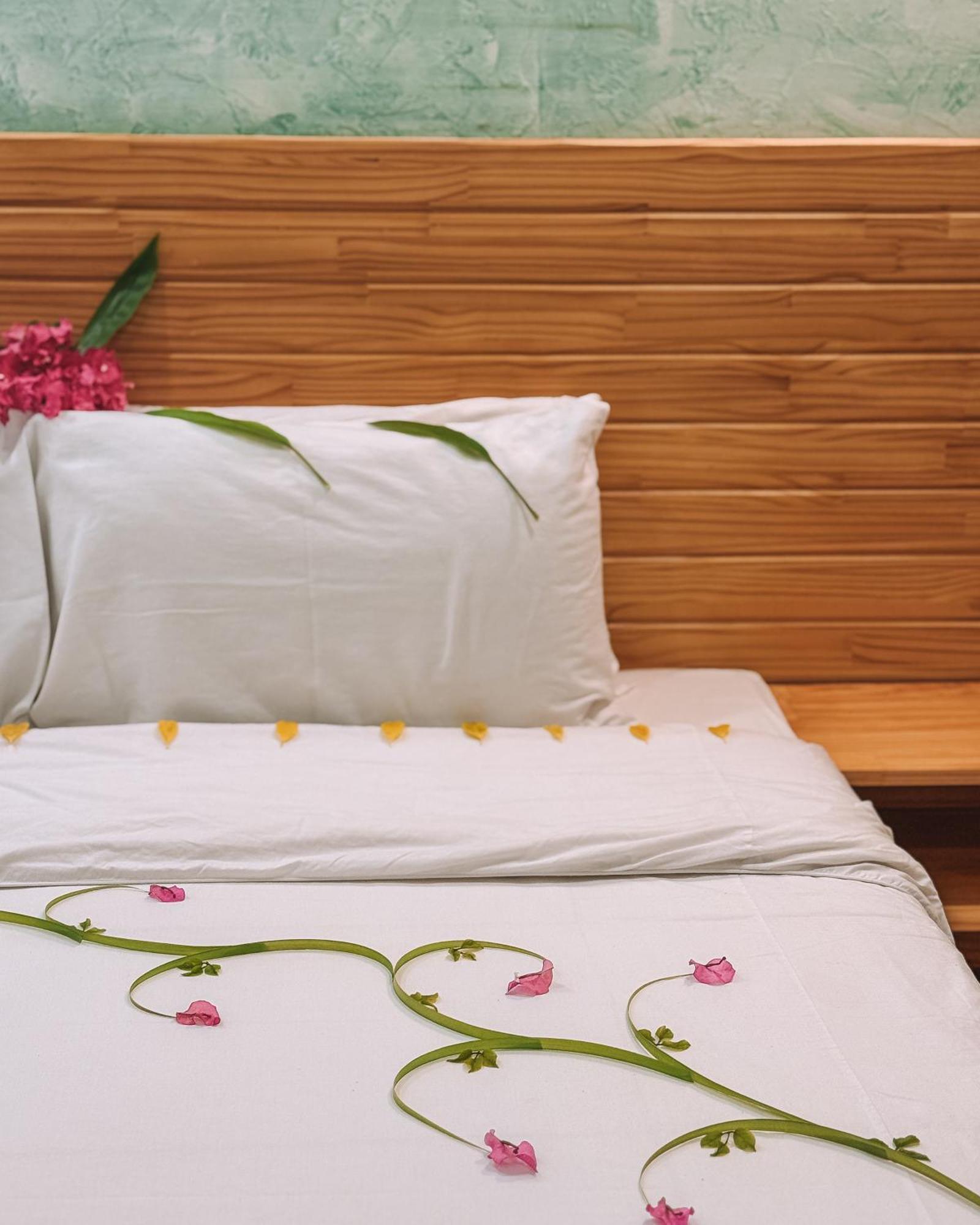 Turtle Maldives - Your Gateway To The Beach & Marine Adventures Await! Omadhoo Phòng bức ảnh