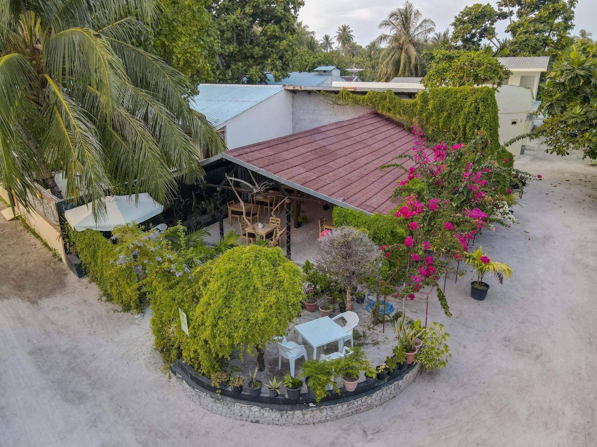 Turtle Maldives - Your Gateway To The Beach & Marine Adventures Await! Omadhoo Ngoại thất bức ảnh